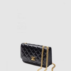 체인 WOC AP3043